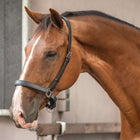 Velder Horsewear Premium Licol WashPro Noir