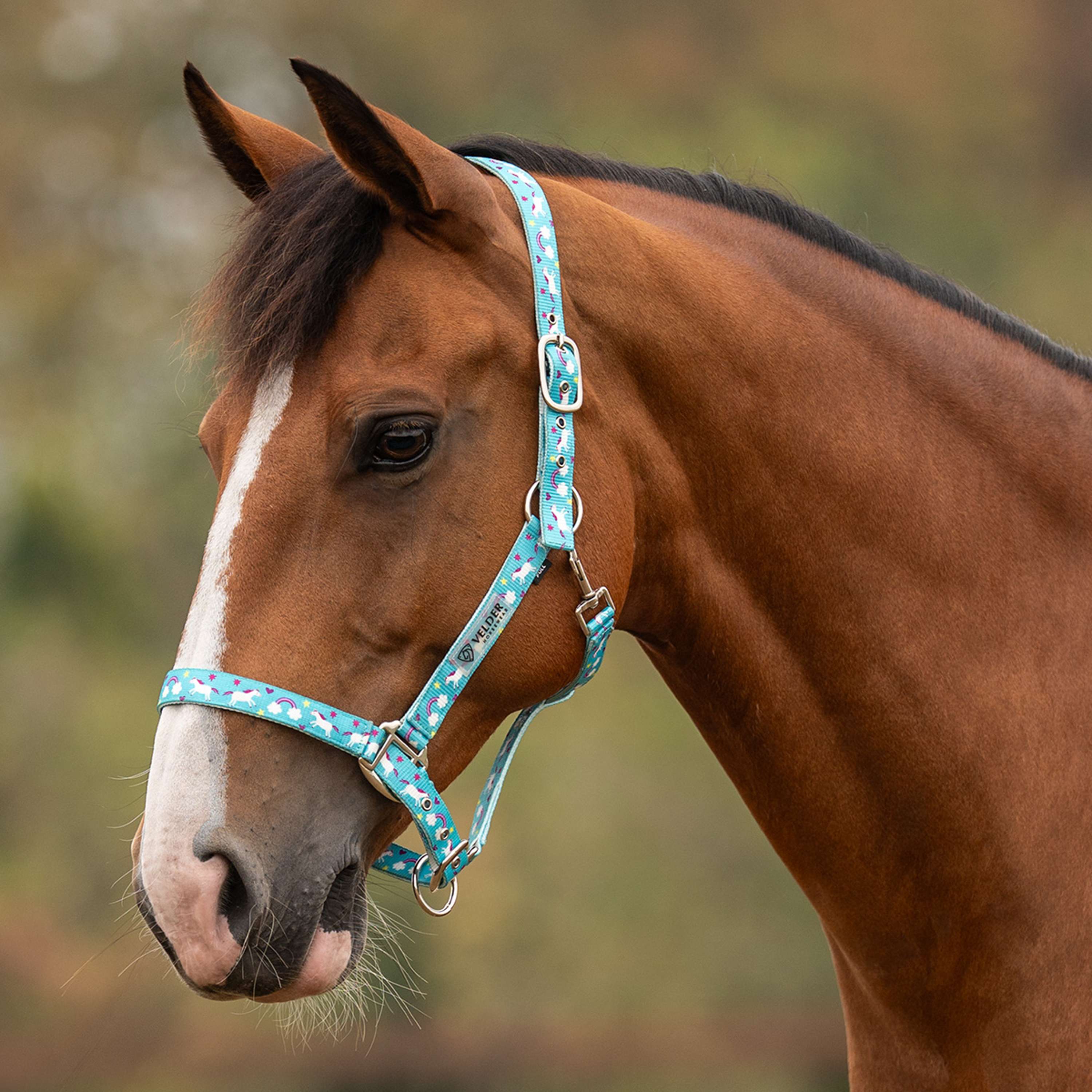 Velder Horsewear Essentials Licol Unicorn Bleu