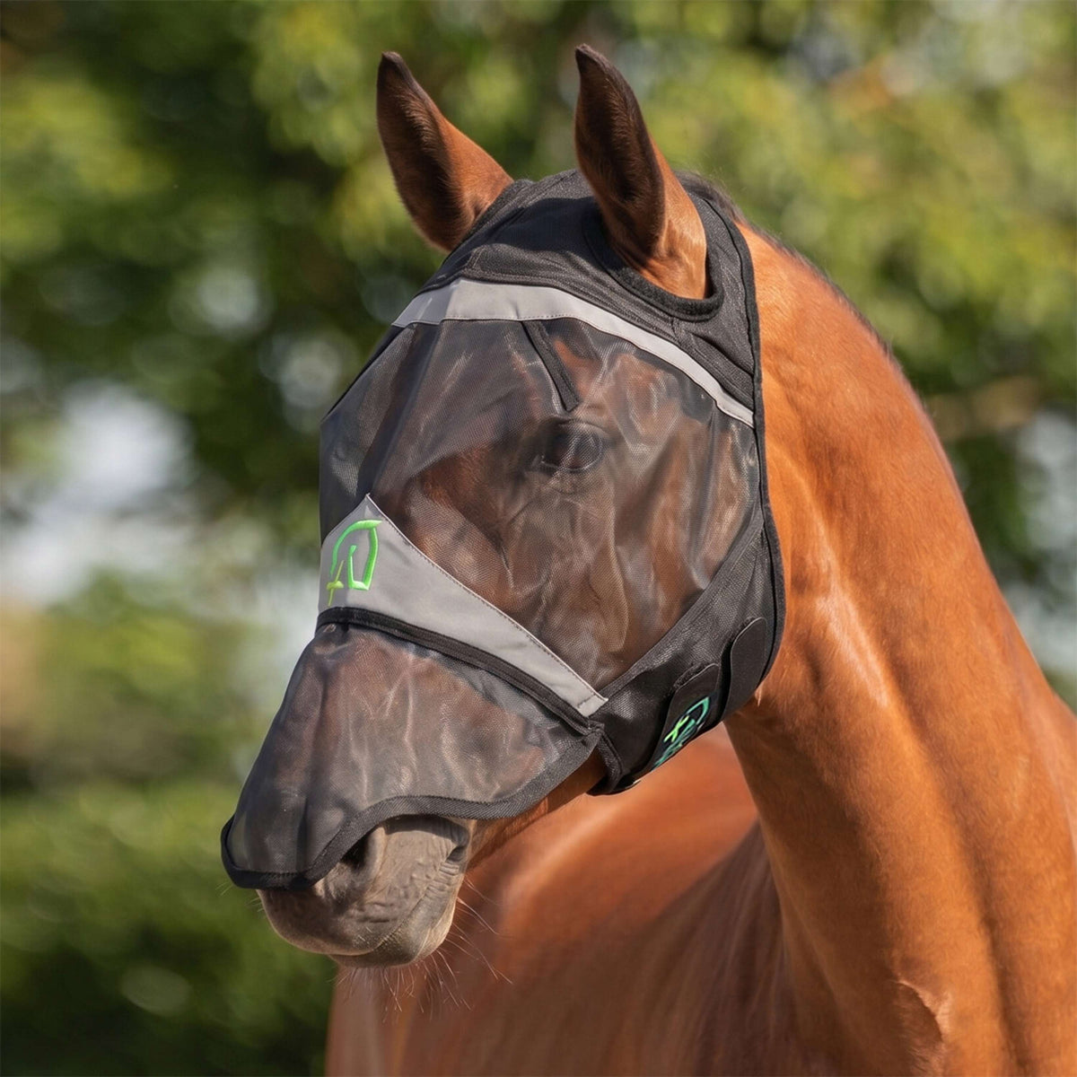 Agradi Horse Masque Anti-Mouches Fine Mesh avec Découpe D'oreille et le Nez Noir