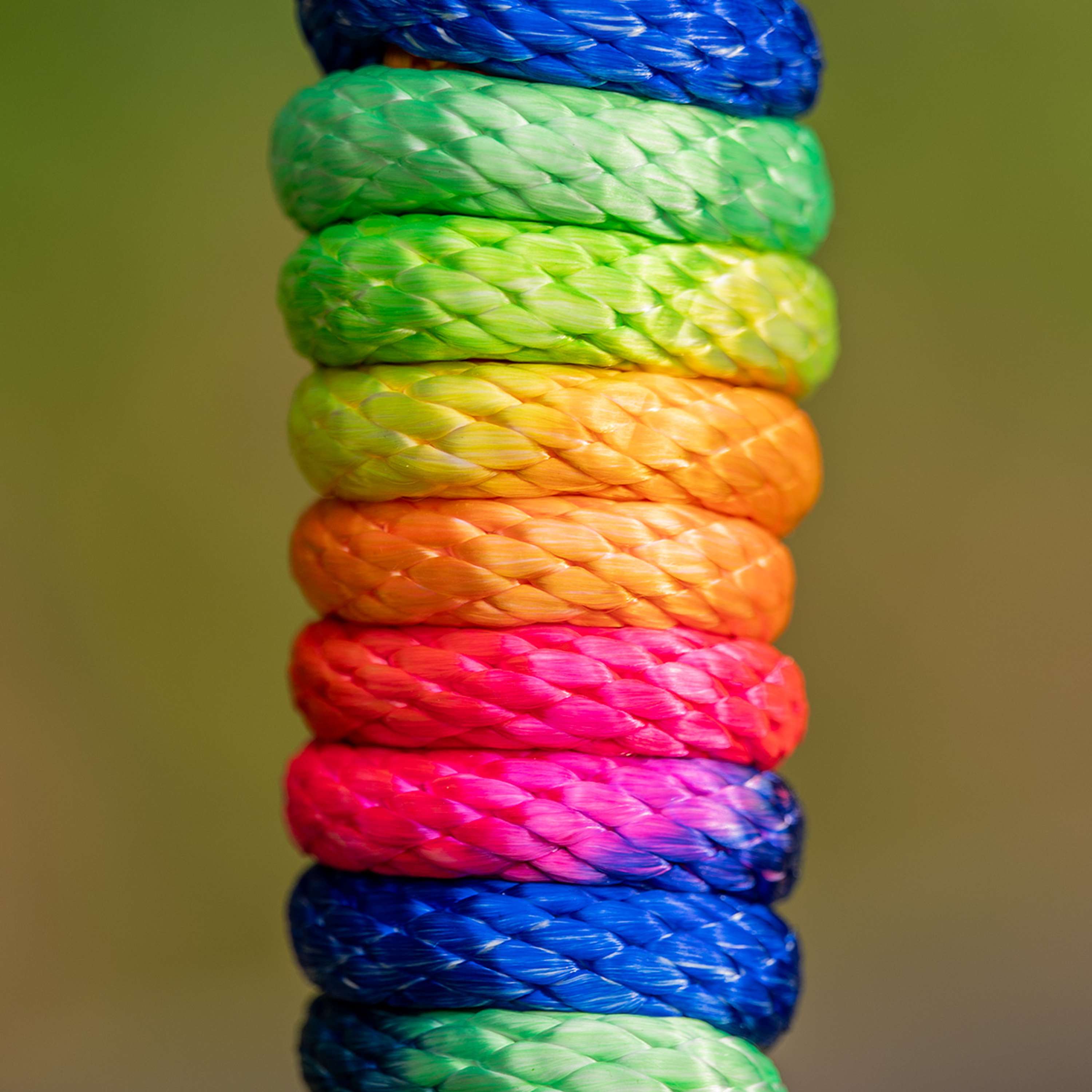 Velder Horsewear Corde pour Licol Colorful Stripe Rainbow Pastel