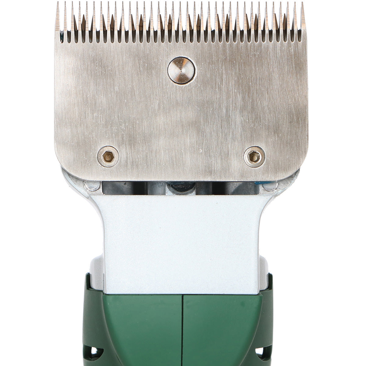 Agradi Horse Tondeuse HC-2600 Vert