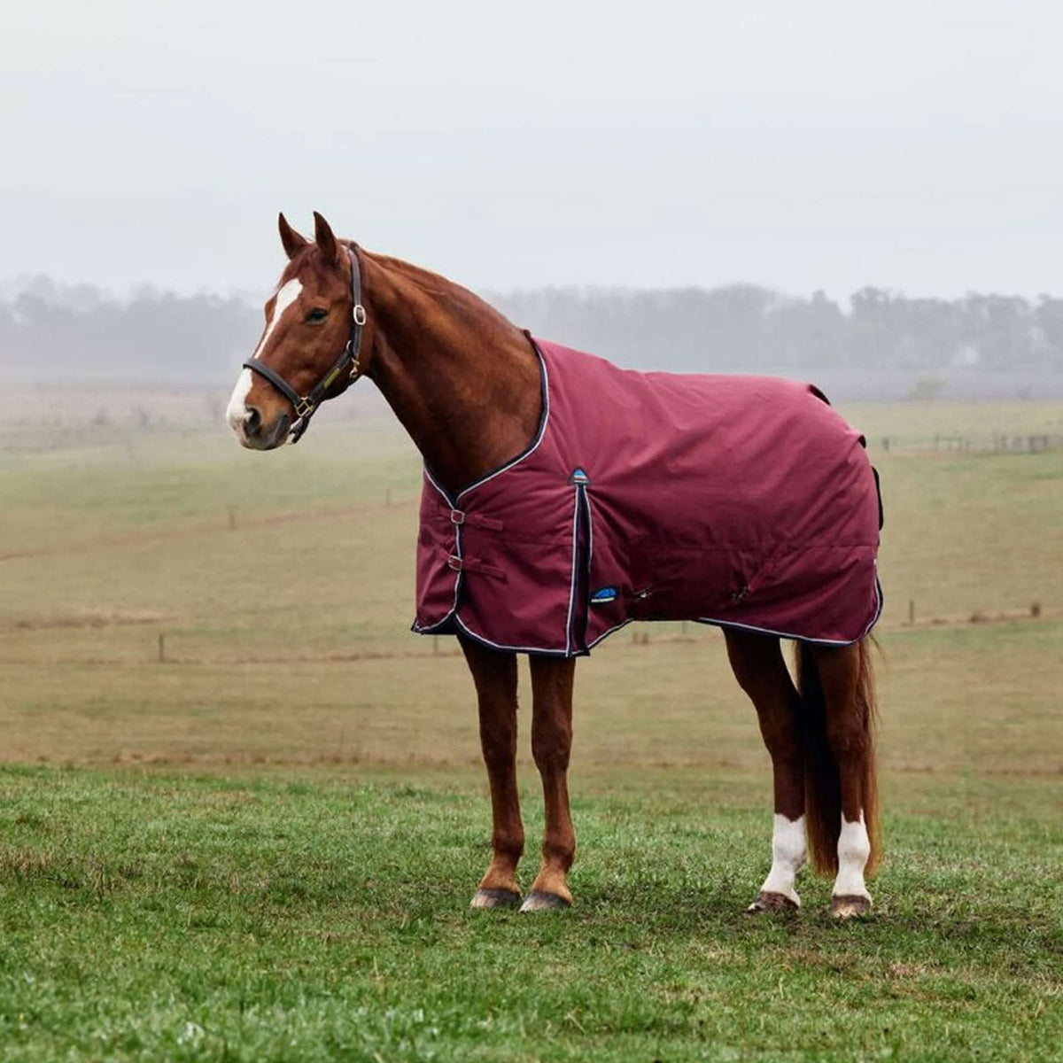 WeatherBeeta ComFiTec Prelim Turnout 0g Bourgogne/Marine