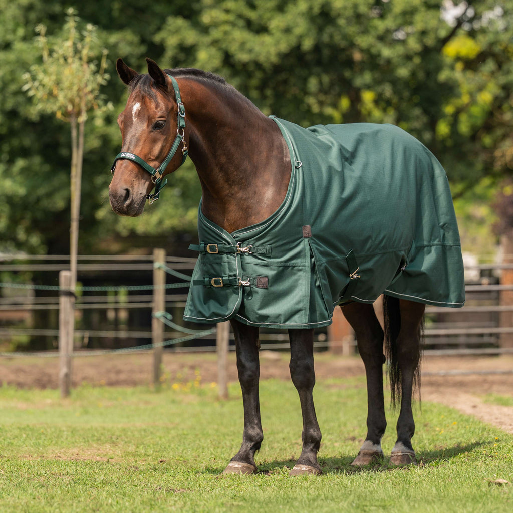 Agradi Horse Couverture d'Extérieur 1200D 300gr Bande Réfléchissante Vert