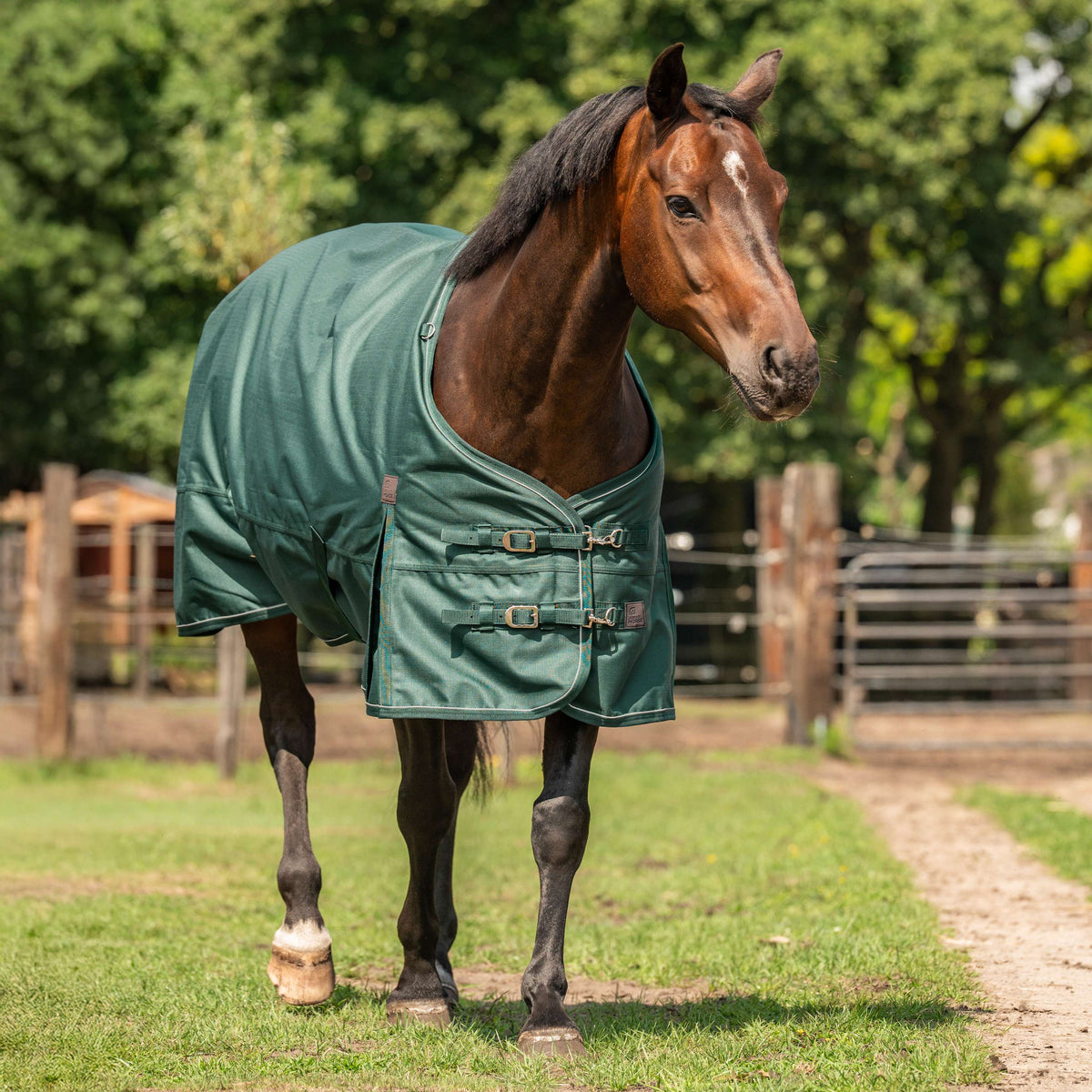 Agradi Horse Couverture d'Extérieur 1200D 300gr Bande Réfléchissante Vert