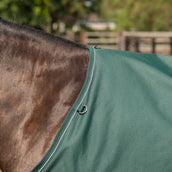 Agradi Horse Couverture d'Extérieur 1200D 300gr Bande Réfléchissante Vert