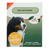 Primeval Gelatinate Chien