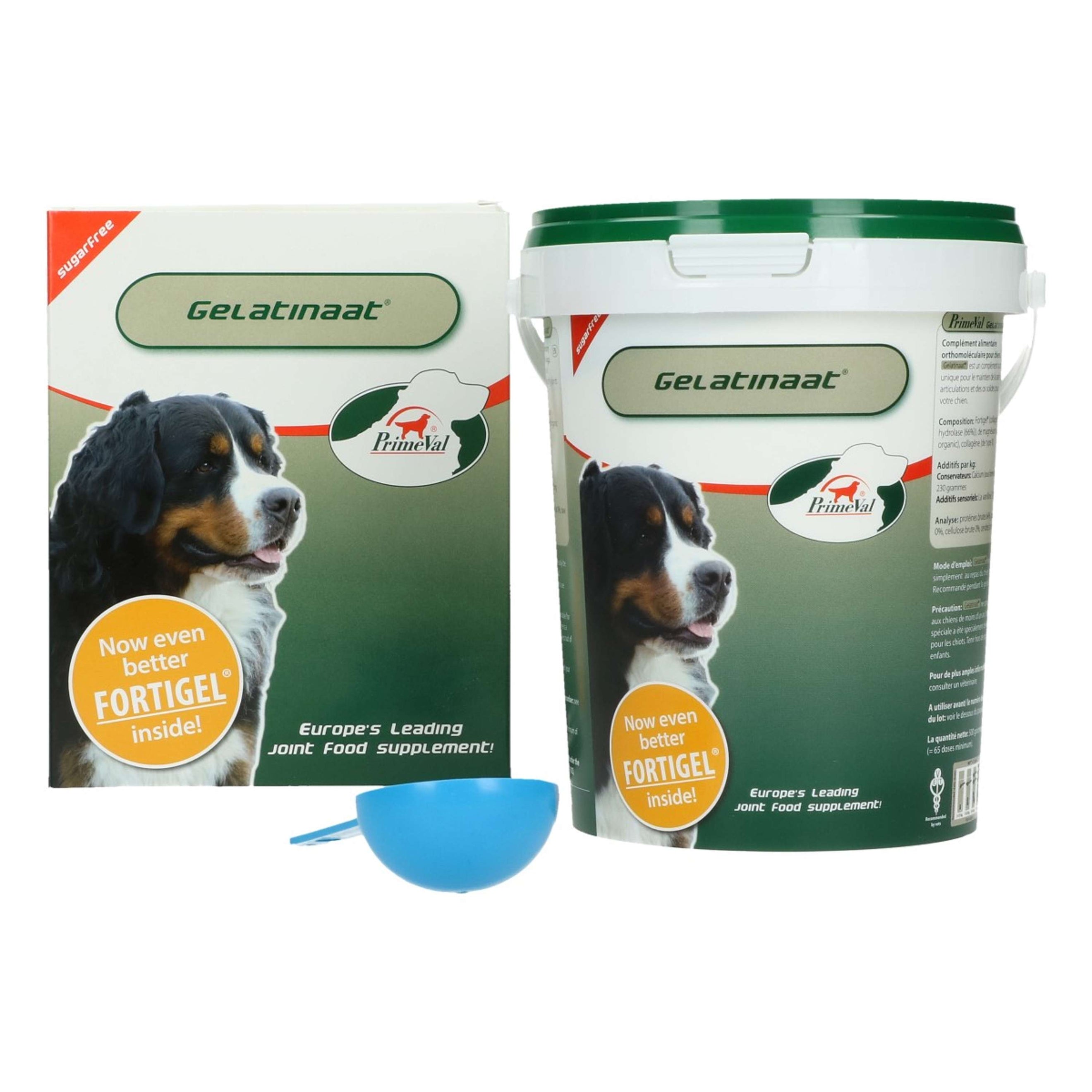 Primeval Gelatinate Chien Primeval Gelatinate Chien