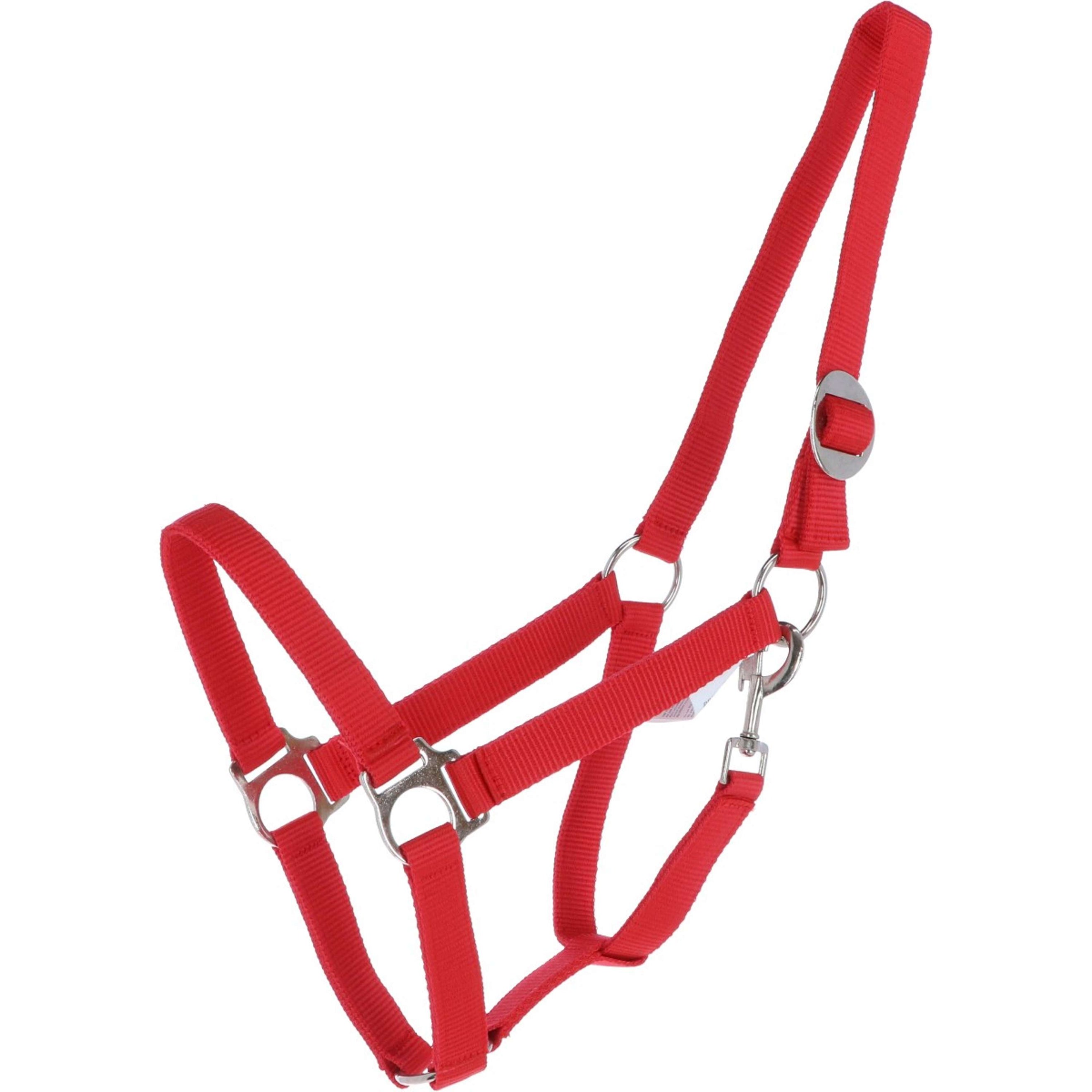 Premiere Licol Standaard Poly Rouge Premiere Licol Standaard Poly Rouge