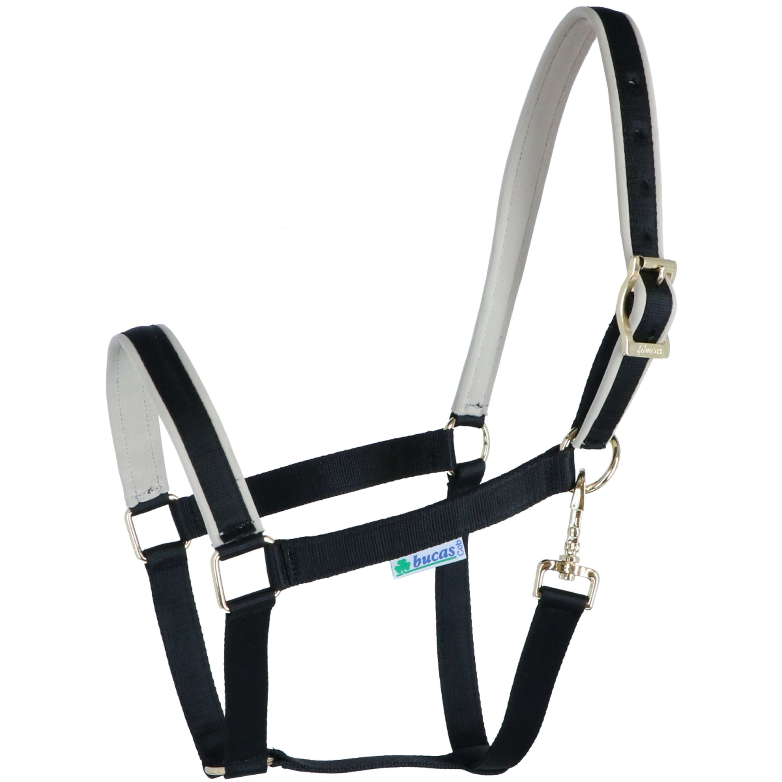 Bucas Licol Dublin Poulain Black/Silver