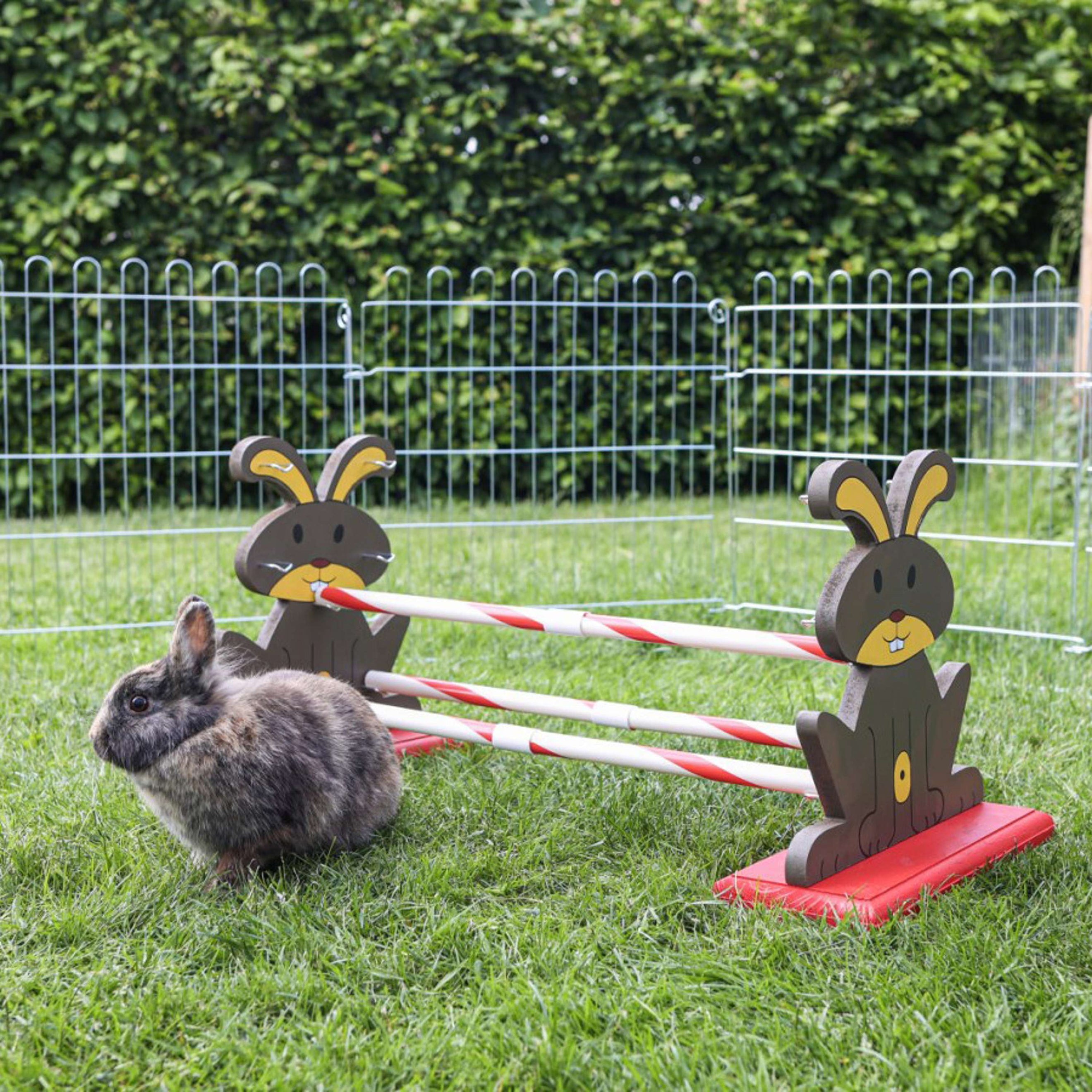 Kerbl Obstacle pour rongeur Agility Kerbl Obstacle pour rongeur Agility