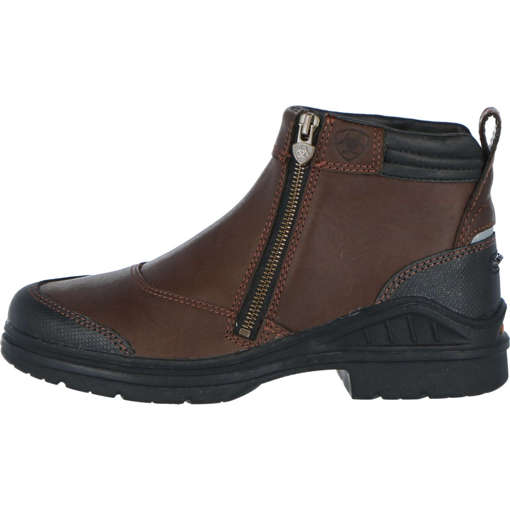 Ariat Chaussures d'Écurie Barnyard Side Zip Marron foncé