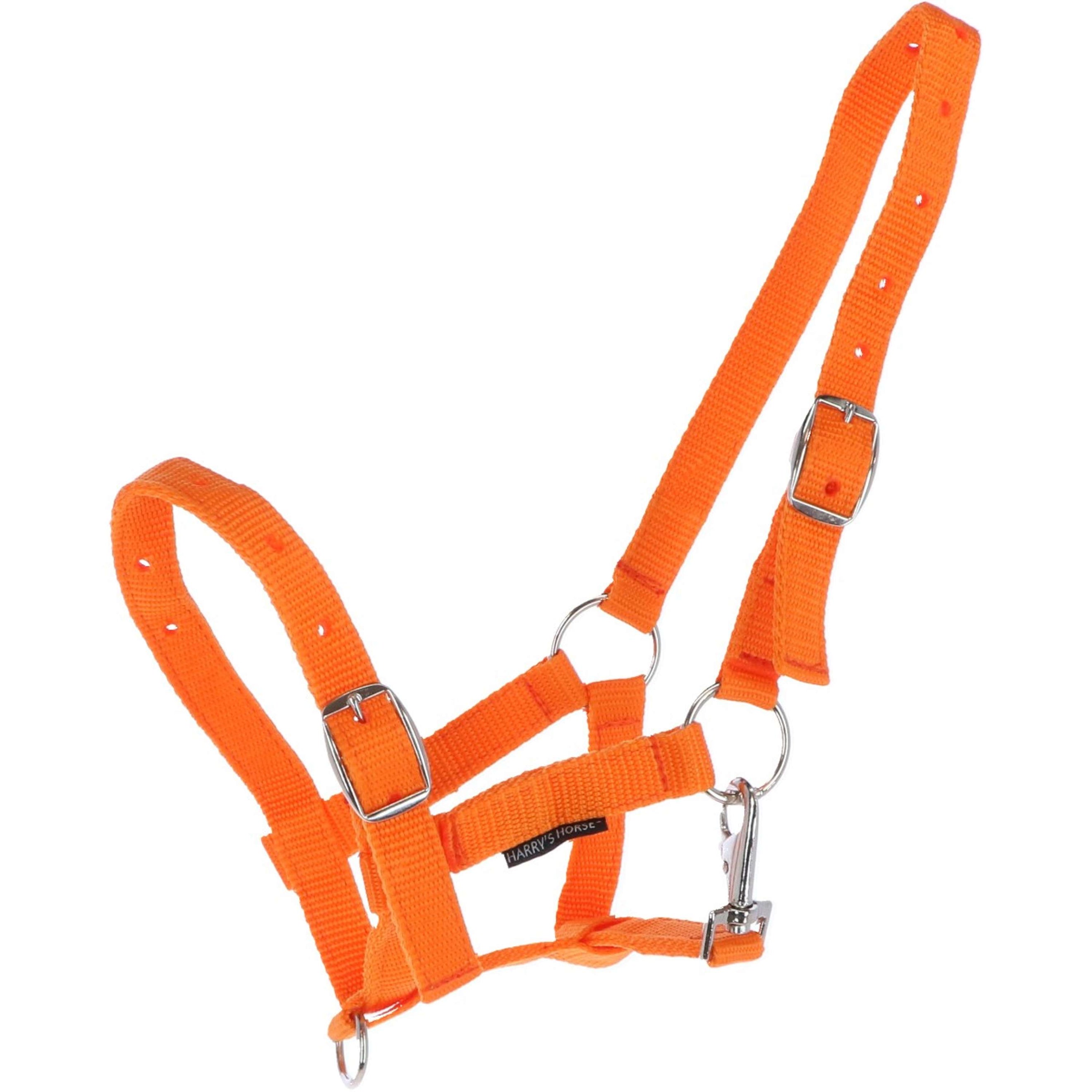 Harry's Horse Licol pour Poulain Orange Harry's Horse Licol pour Poulain Orange