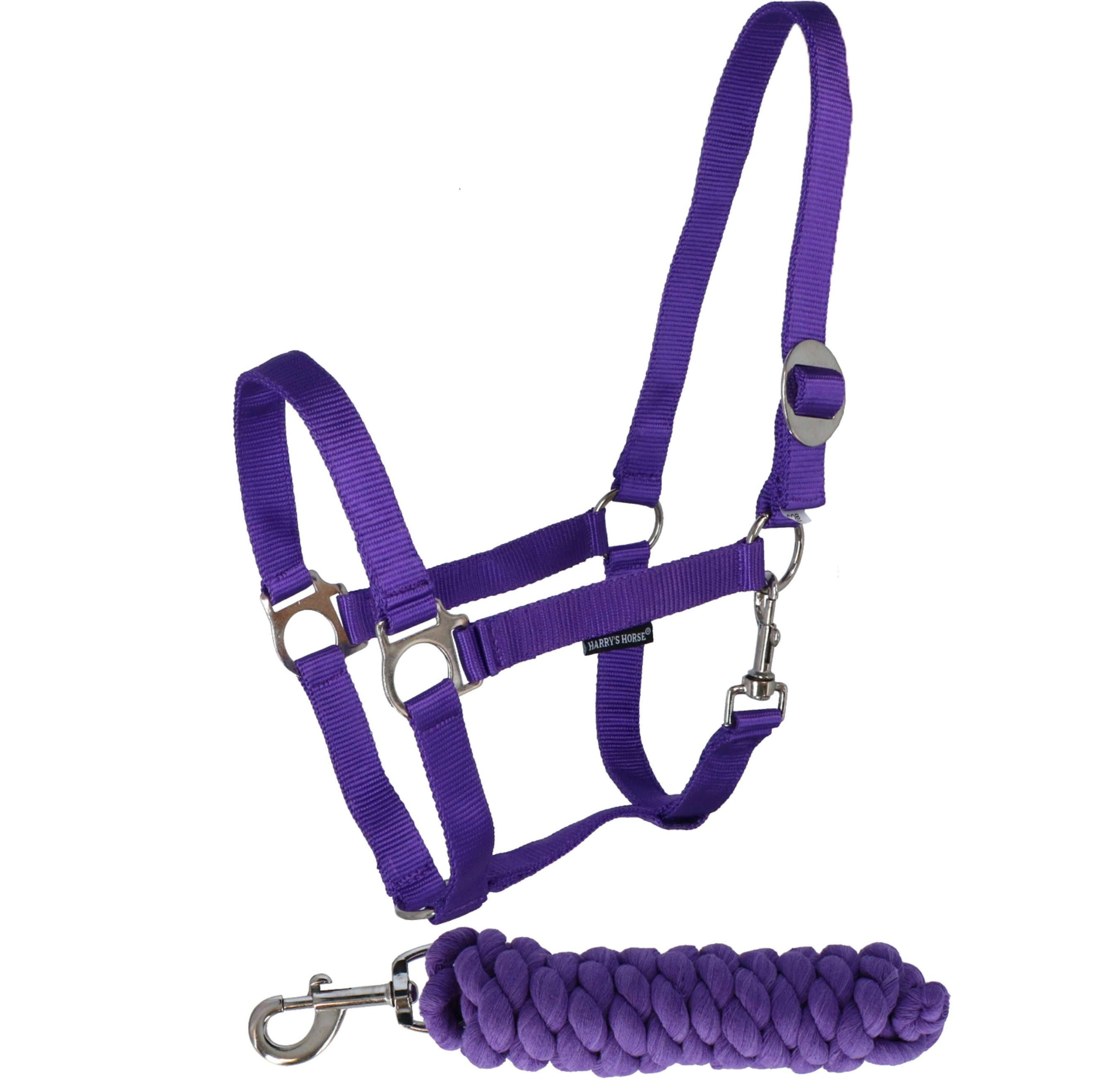 Harry's Horse Ensemble Licol Initial Violet Harry's Horse Ensemble Licol Initial Violet