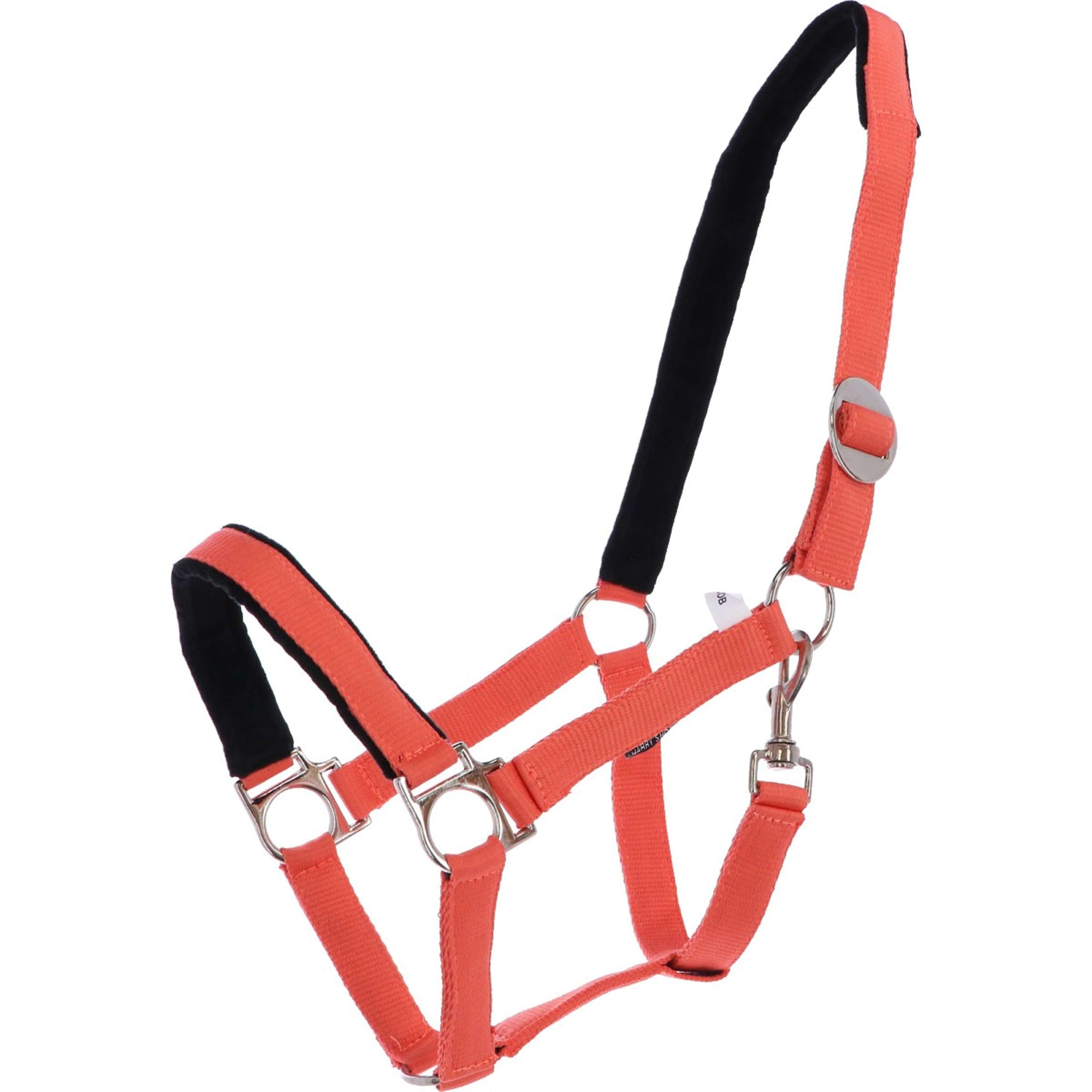 Harry's Horse Licol Padded Orange Harry's Horse Licol Padded Orange