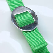 HKM Licol Stars Economy Vert clair