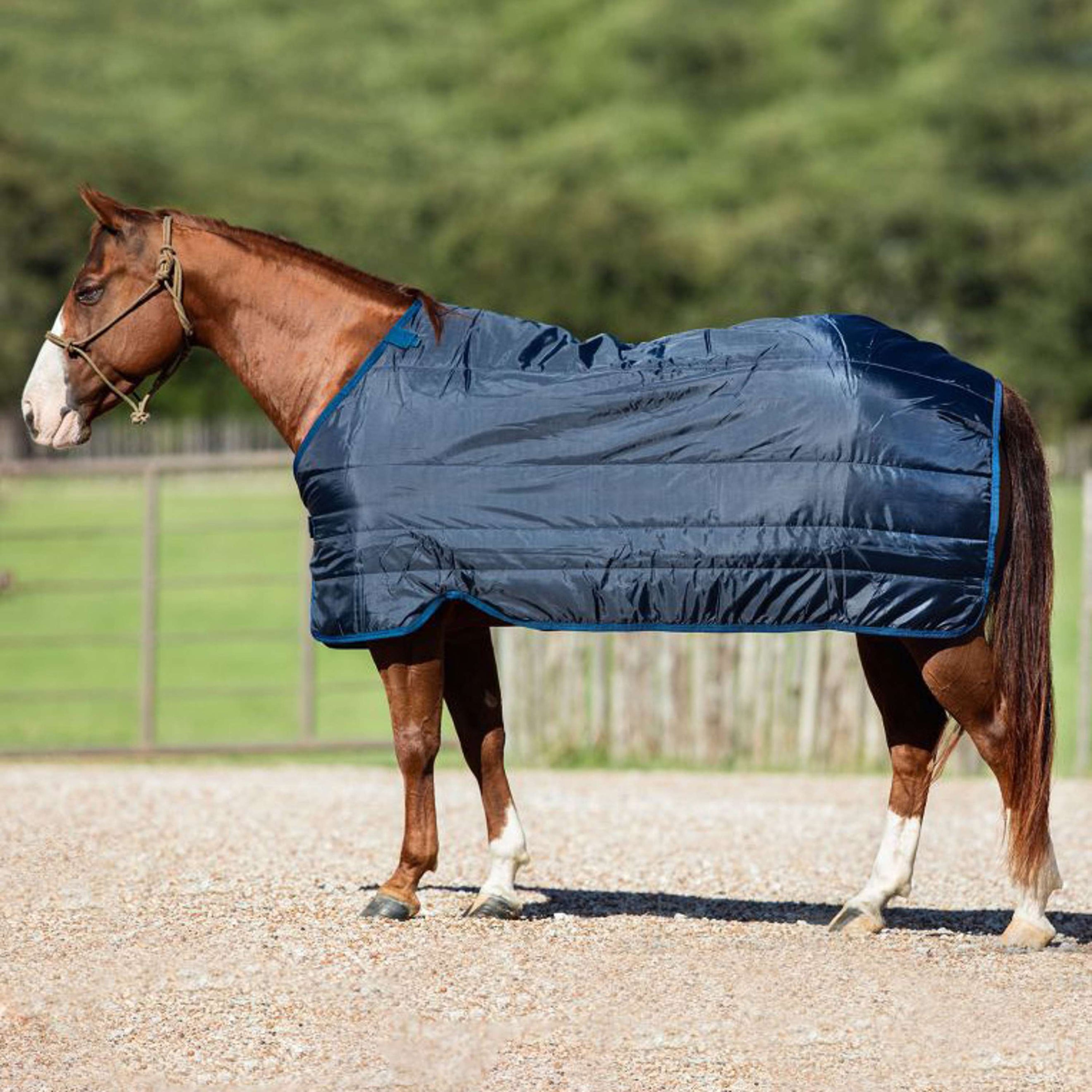 Horseware Couverture Liner 200g Marin Horseware Couverture Liner 200g Marin