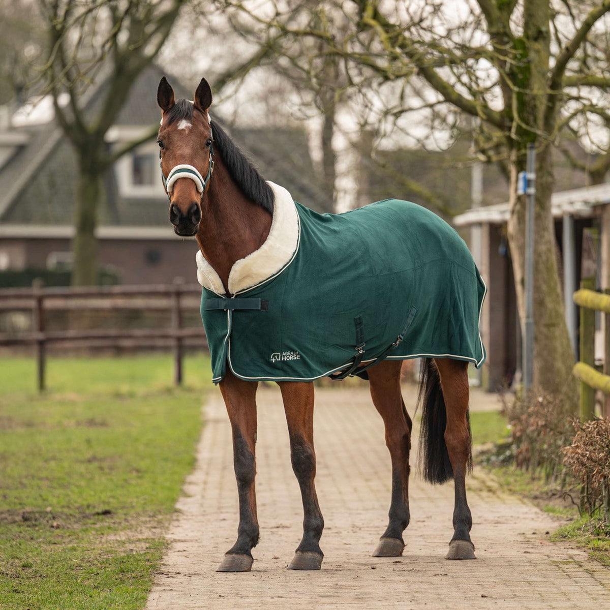 Agradi Horse Couverture Polaire Modern Rosé Fir Green