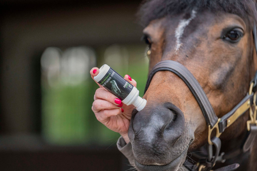 Agradi Horse Odeur + Éponge
