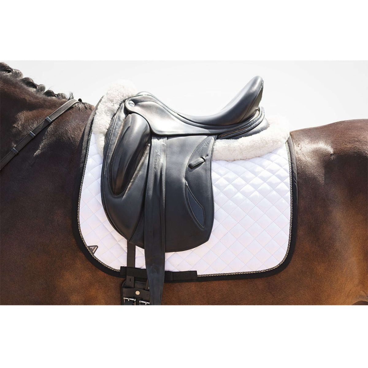 ANKY Tapis de Selle Presence XB25005 Dressage Blanc/Noir