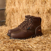 Ariat Chaussures d’extérieur Groundbreaker Lace Steel Toe Waterproof Hommes Marron foncé