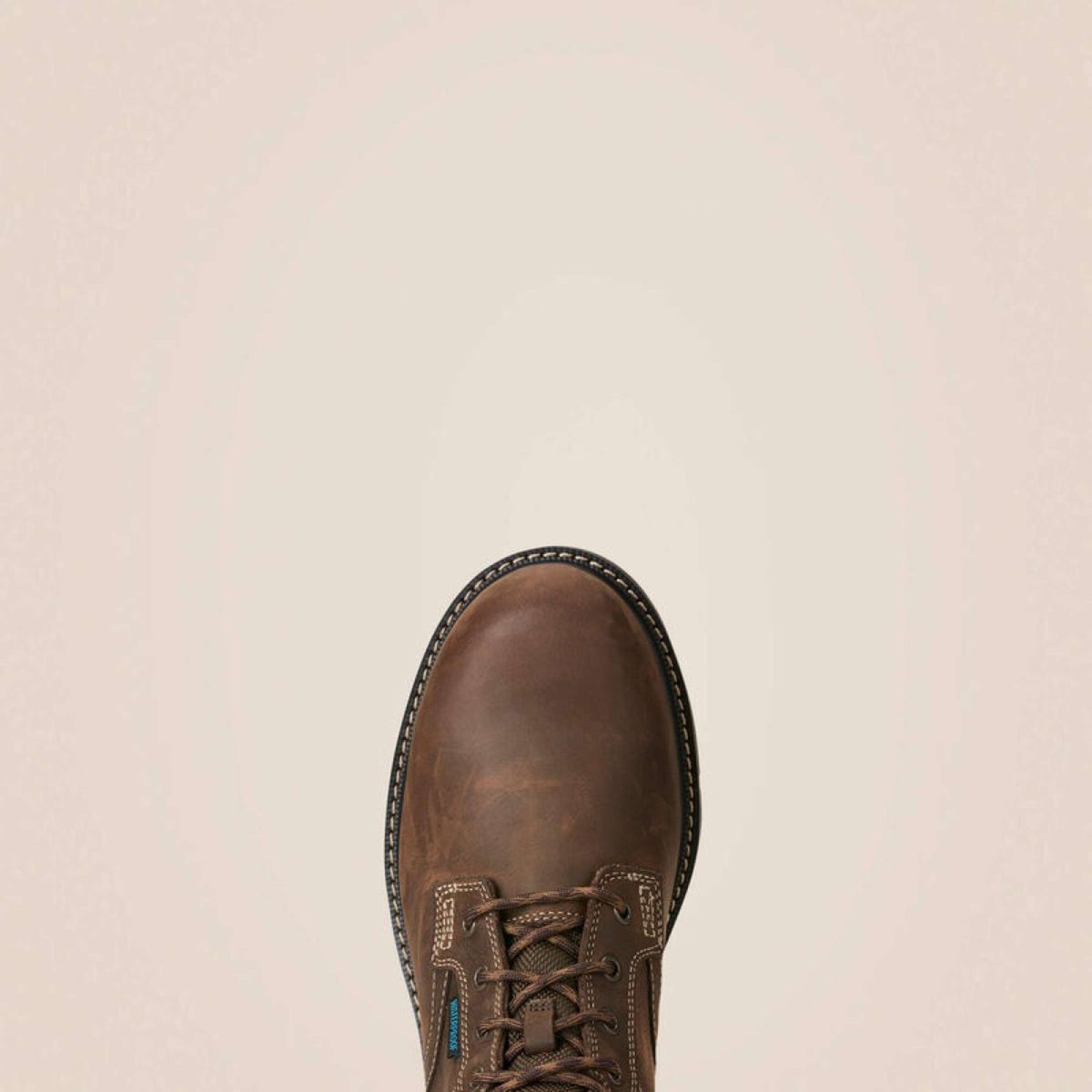 Ariat Chaussures d’extérieur Groundbreaker Lace Steel Toe Waterproof Hommes Marron foncé