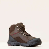 Ariat Chaussures d’extérieur Skyline Mid Waterproof Hommes Marron chocolat