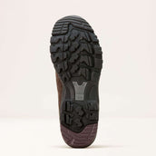 Ariat Chaussures d’extérieur Skyline Mid Waterproof Hommes Marron chocolat