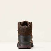 Ariat Chaussures d’extérieur Skyline Mid Waterproof Femme Marron chocolat