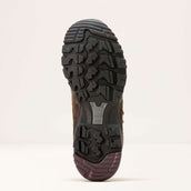 Ariat Chaussures d’extérieur Skyline Mid Waterproof Femme Marron chocolat