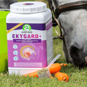 Audevard Ekygard