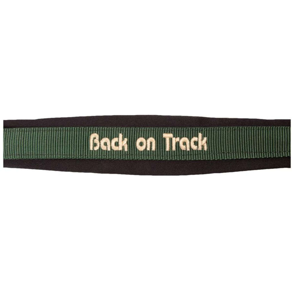 Back on Track Licol Werano Vert