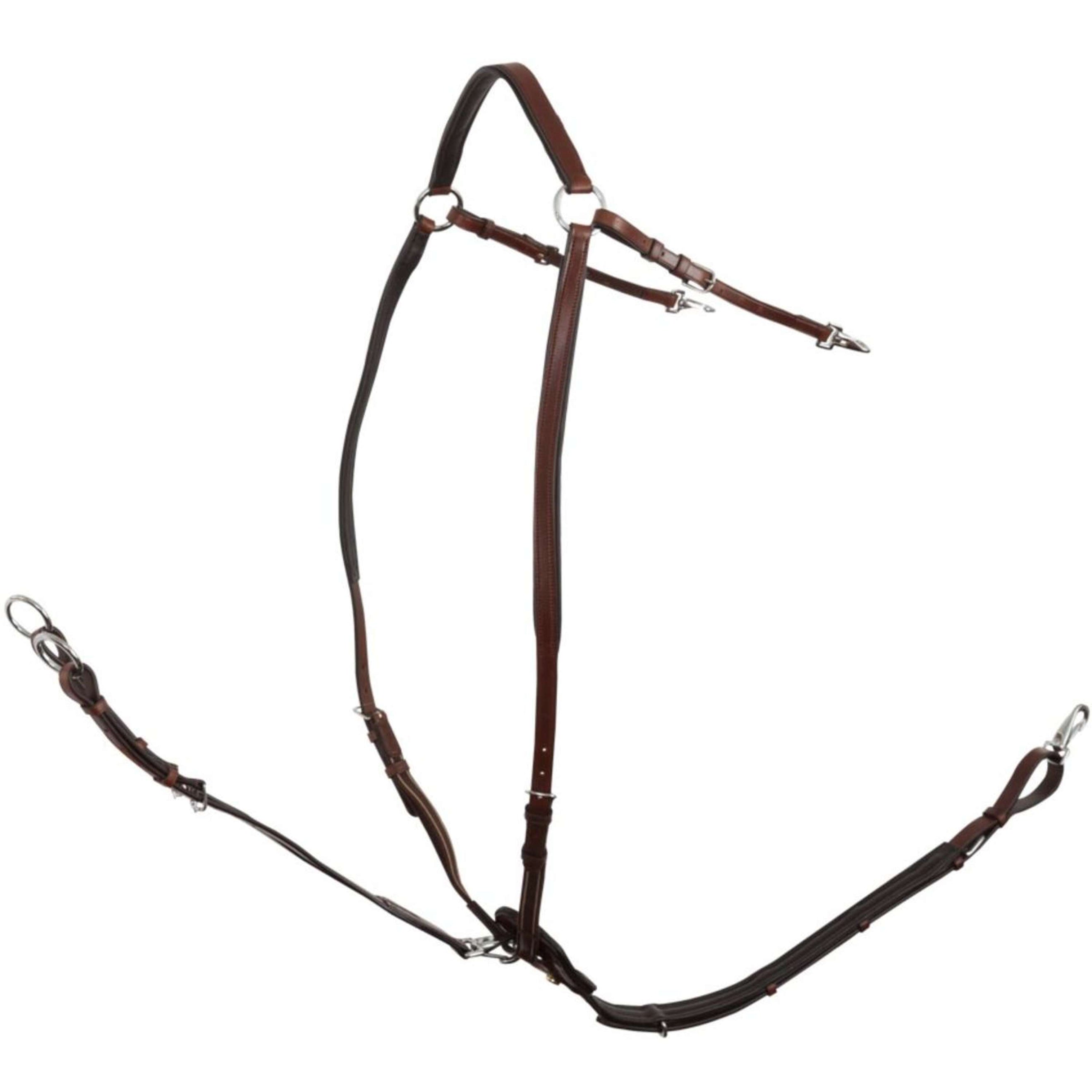 BR Collier de Chasse Rayleigh avec Sangles de Selle Oak/Silver BR Collier de Chasse Rayleigh avec Sangles de Selle Oak/Silver