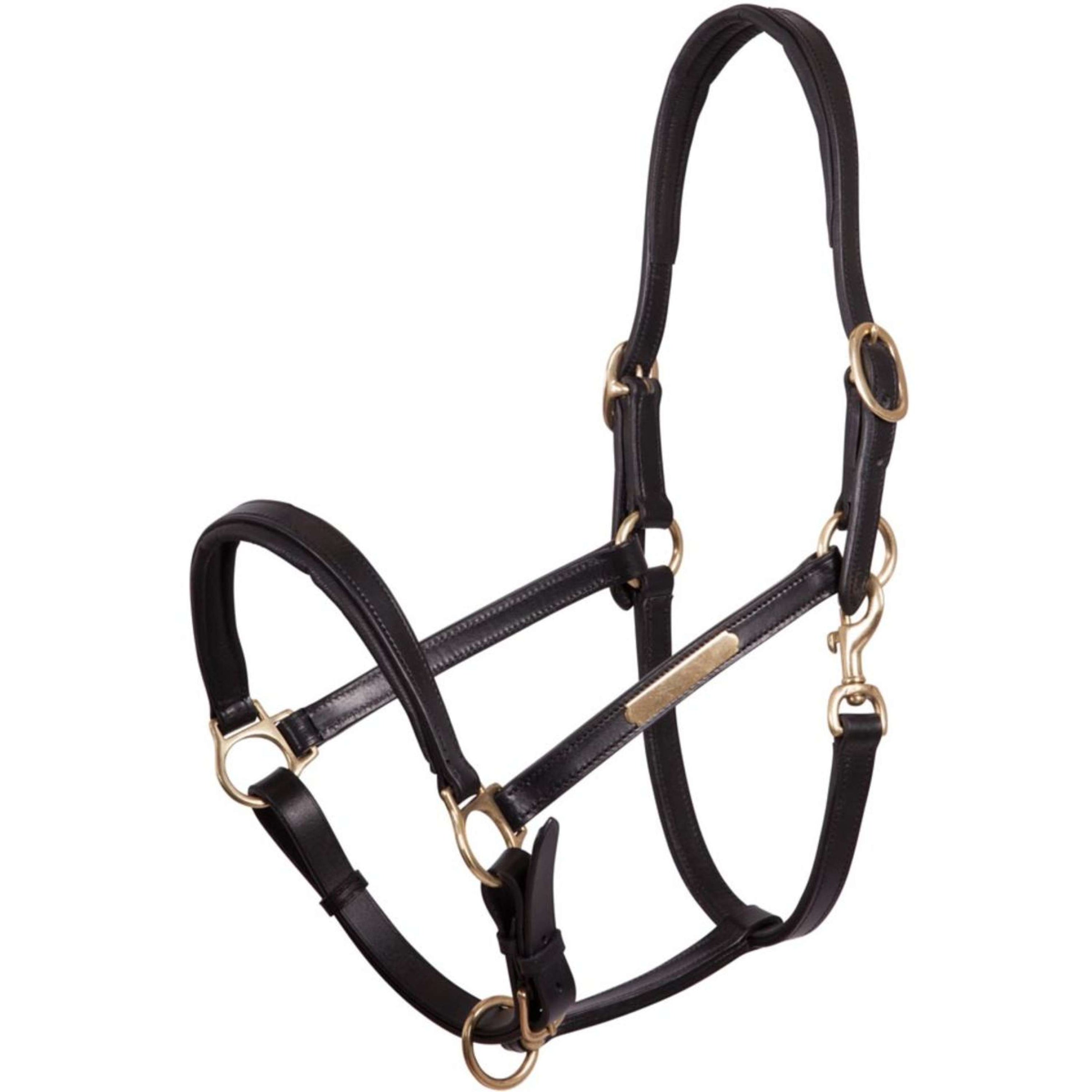 Premiere Licol Cuir Fourré Double Réglable Noir Premiere Licol Cuir Fourré Double Réglable Noir