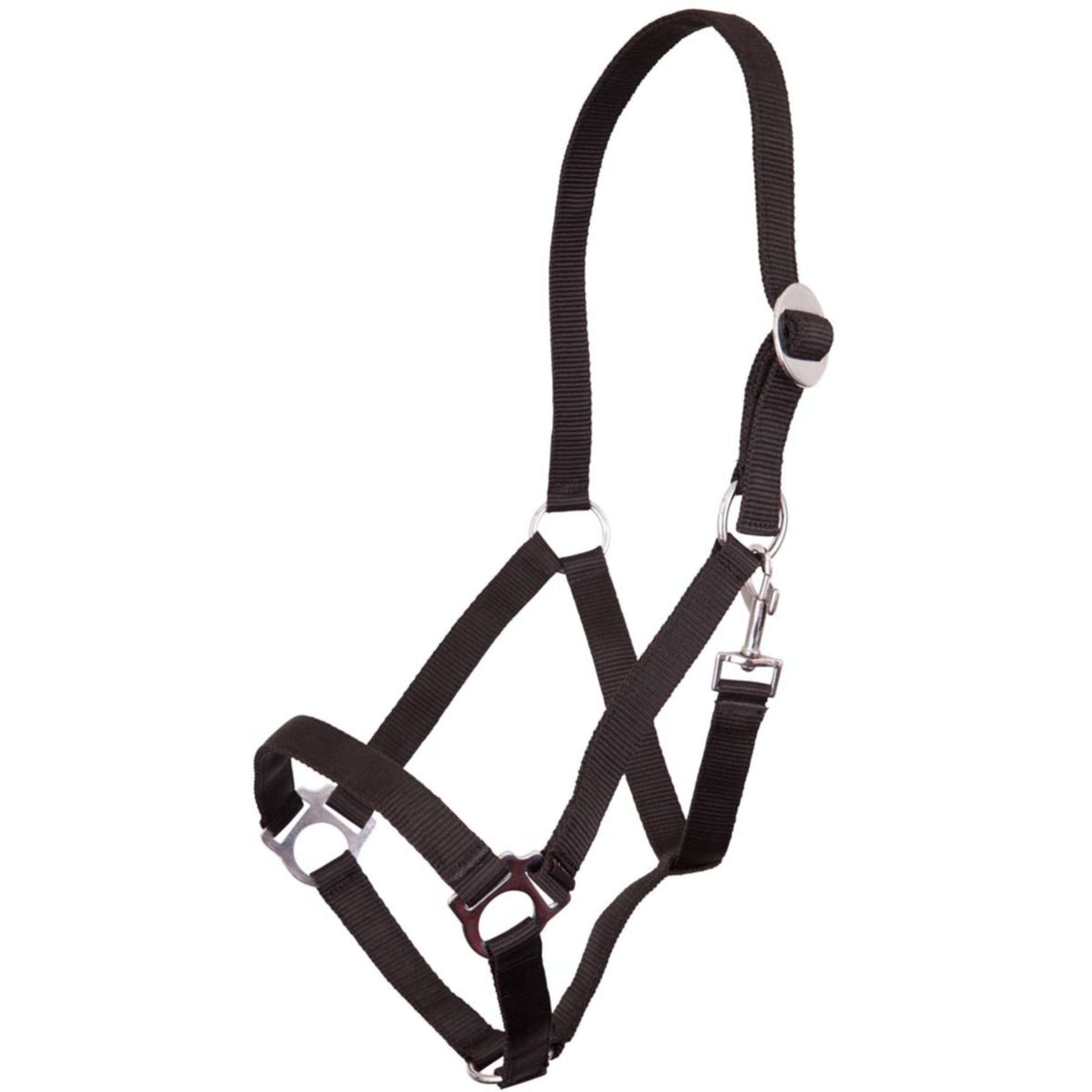 Premiere Licol Standaard Poly Noir Premiere Licol Standaard Poly Noir