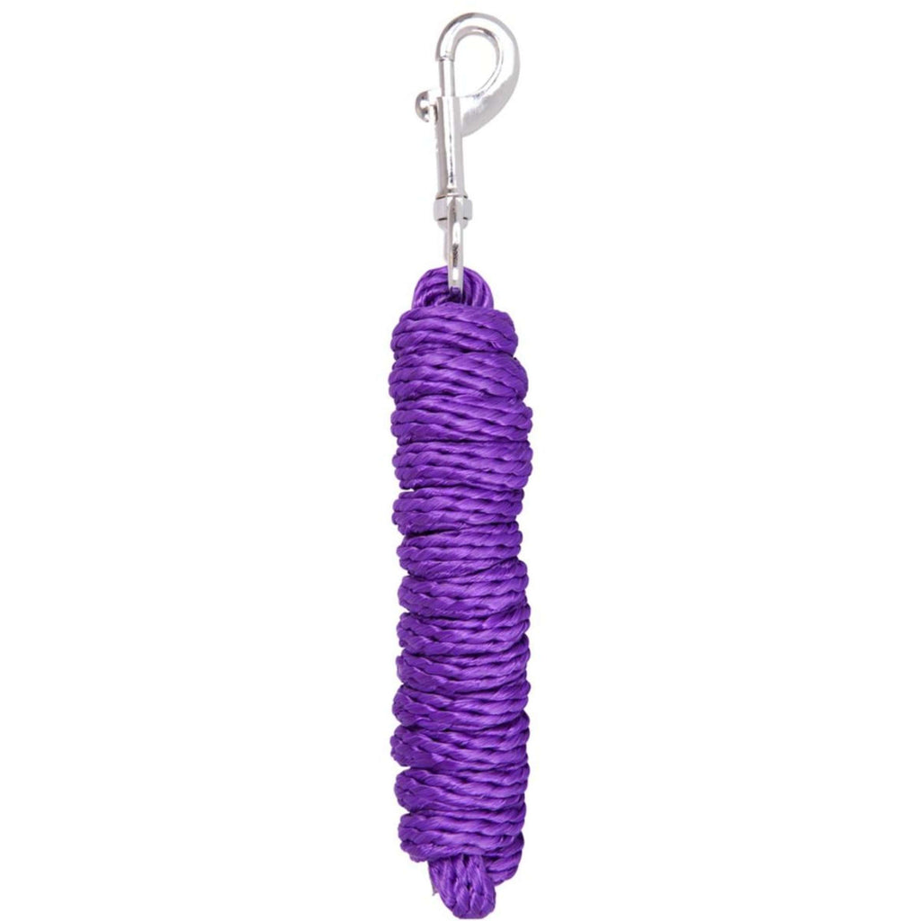 Premiere Laisse Premium avec Mousqueton Violet