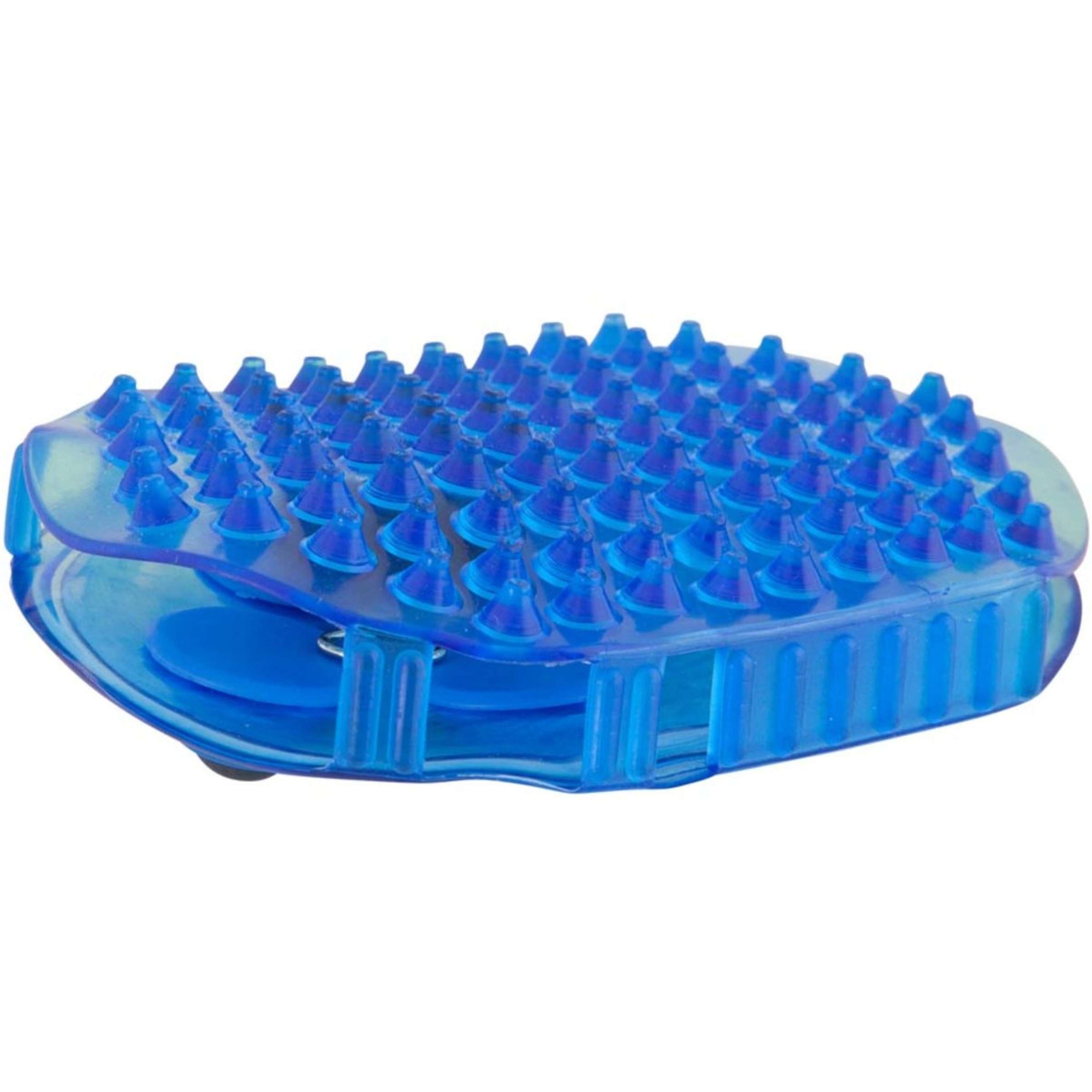 Premiere Brosse de Massage Acier Inoxydable Rouleaux Bleu Premiere Brosse de Massage Acier Inoxydable Rouleaux Bleu