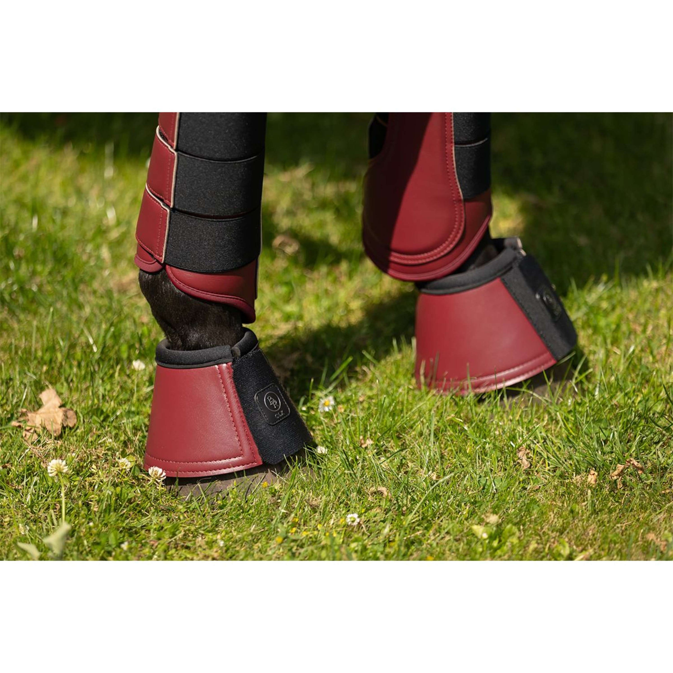 BR Cloches d'Obstacles CLX Cabernet BR Cloches d'Obstacles CLX Cabernet