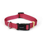 Beeztees Collier Uni Nylon Rose