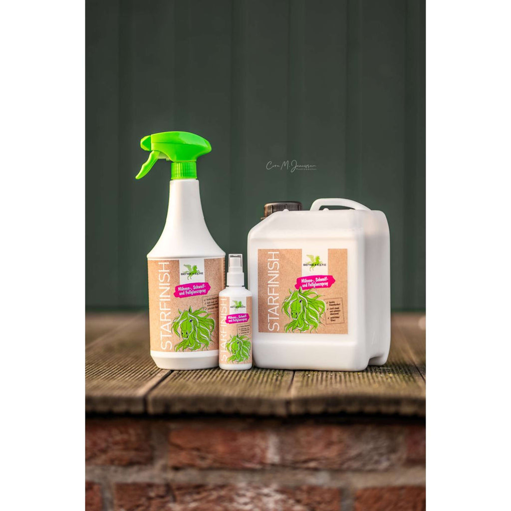 Bense & Eicke Spray Lustrant StarFinish