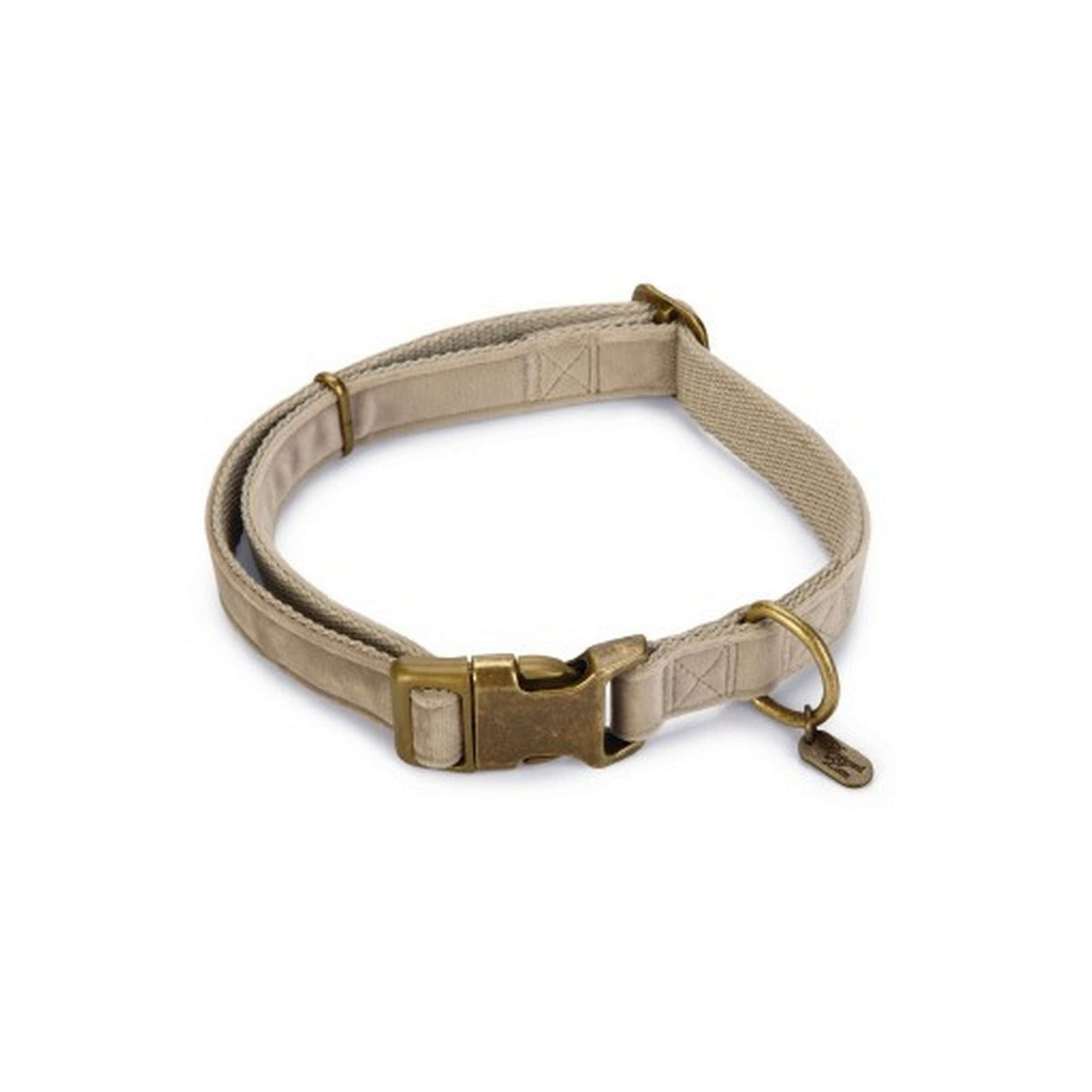 Designed by Lotte Collier pour Chien Velura Velours Gris Designed by Lotte Collier pour Chien Velura Velours Gris