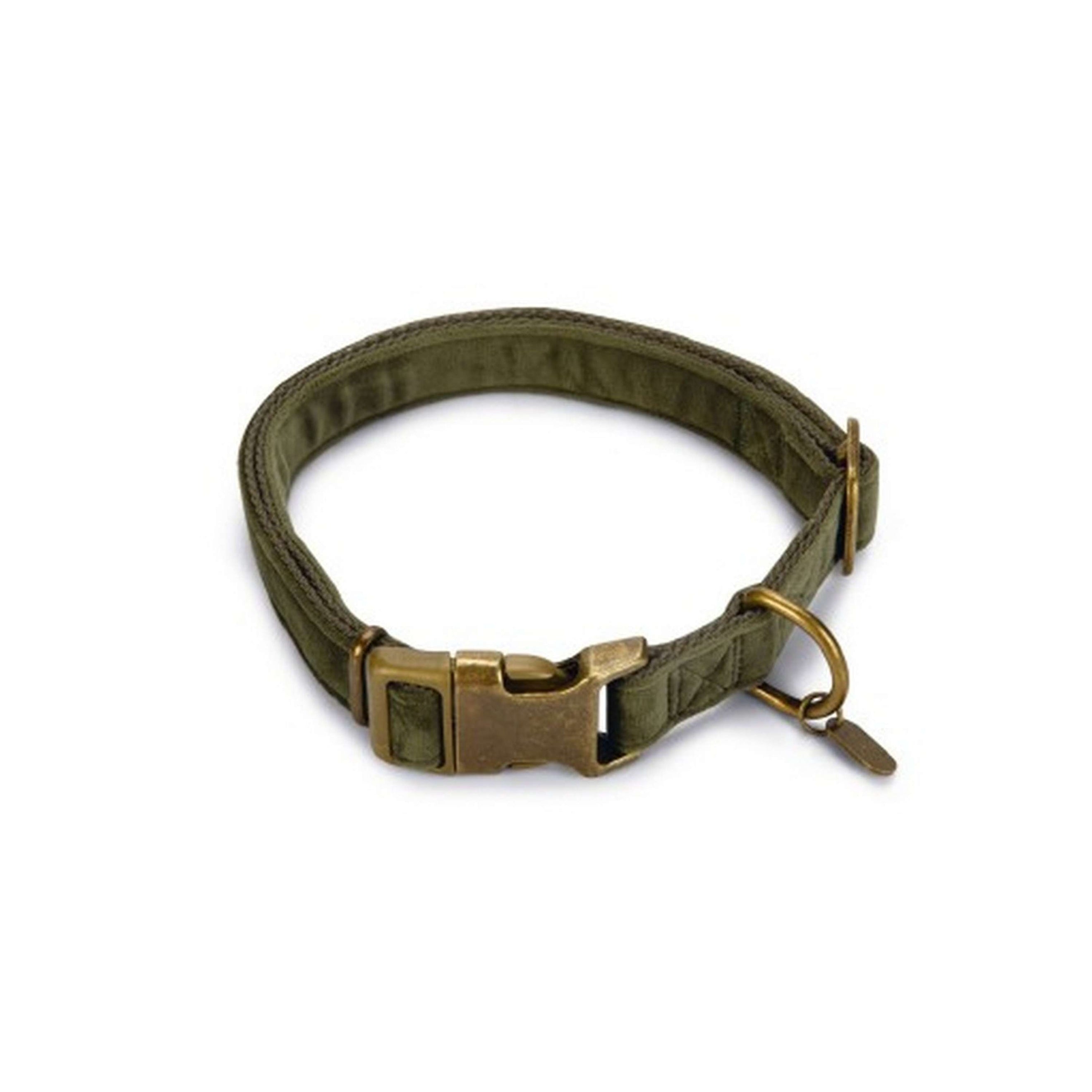 Designed by Lotte Collier pour Chien Velura Velours Vert Designed by Lotte Collier pour Chien Velura Velours Vert
