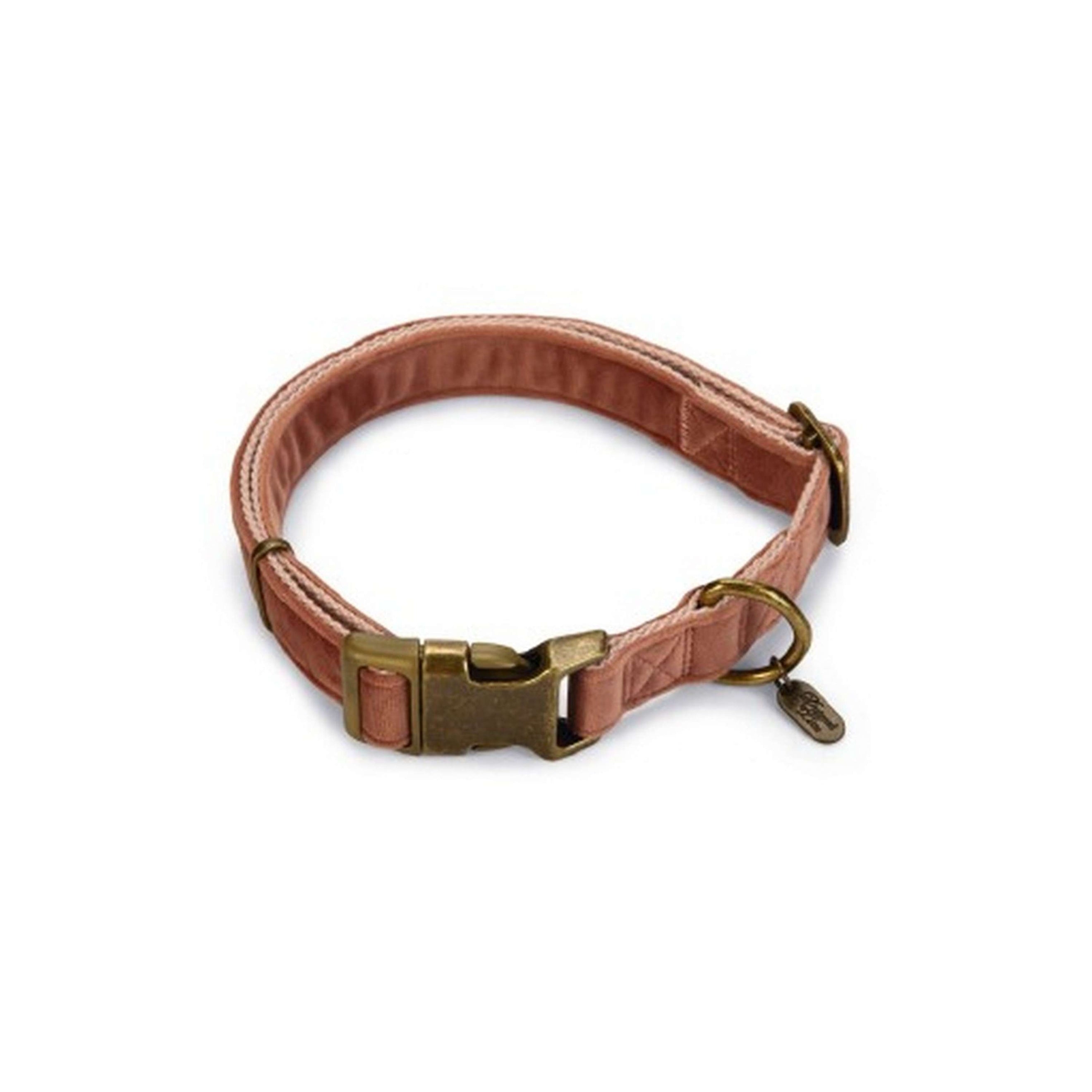 Designed by Lotte Collier pour Chien Velura Velours Rose Designed by Lotte Collier pour Chien Velura Velours Rose