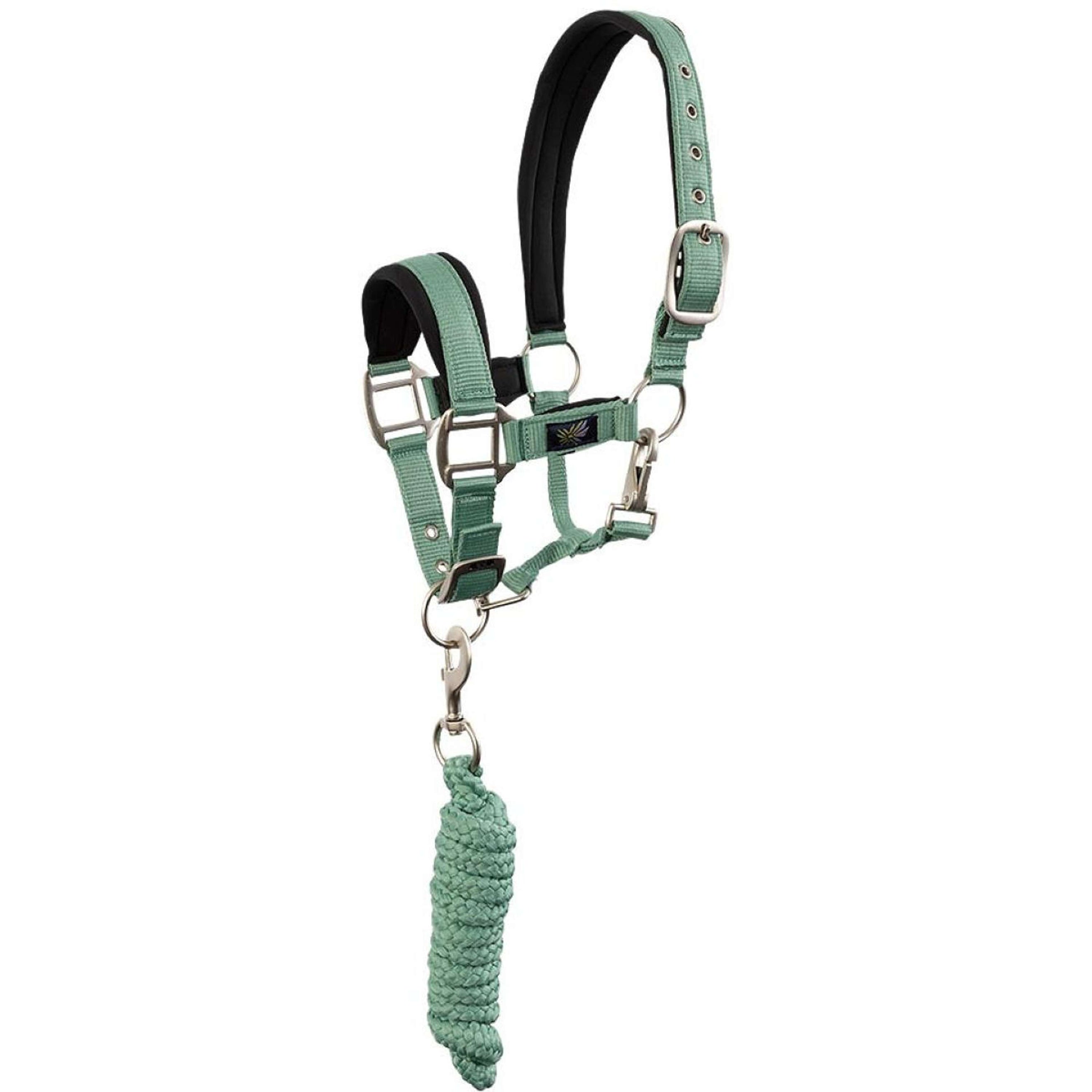 BR Ensemble Licol Mini Horse Feldspar BR Ensemble Licol Mini Horse Feldspar