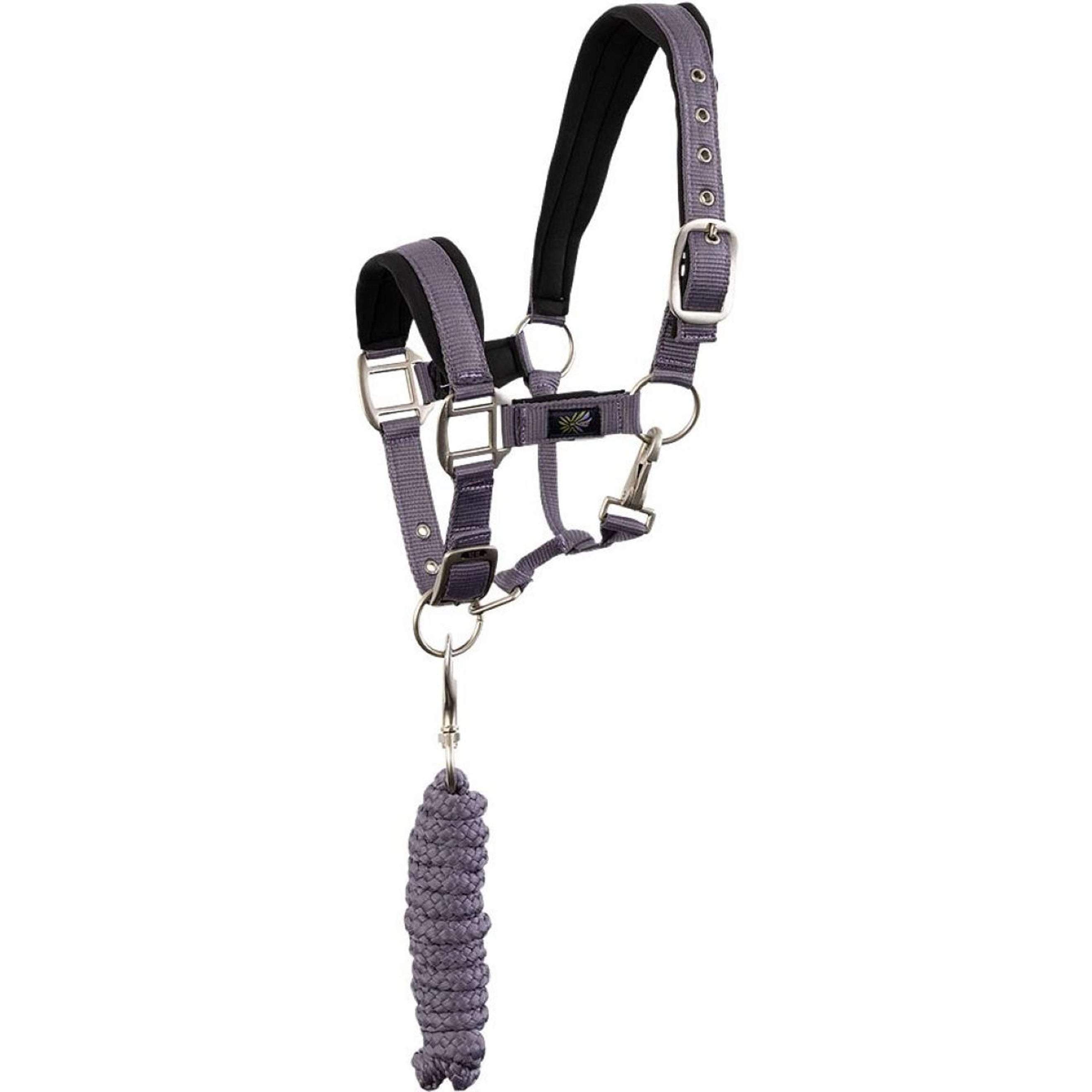 BR Ensemble Licol Mini Horse cadet BR Ensemble Licol Mini Horse cadet