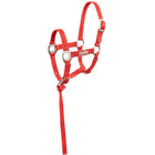 Premiere Ensemble licol pour poulain Brisk avec Mini Ligne Pompeian Red