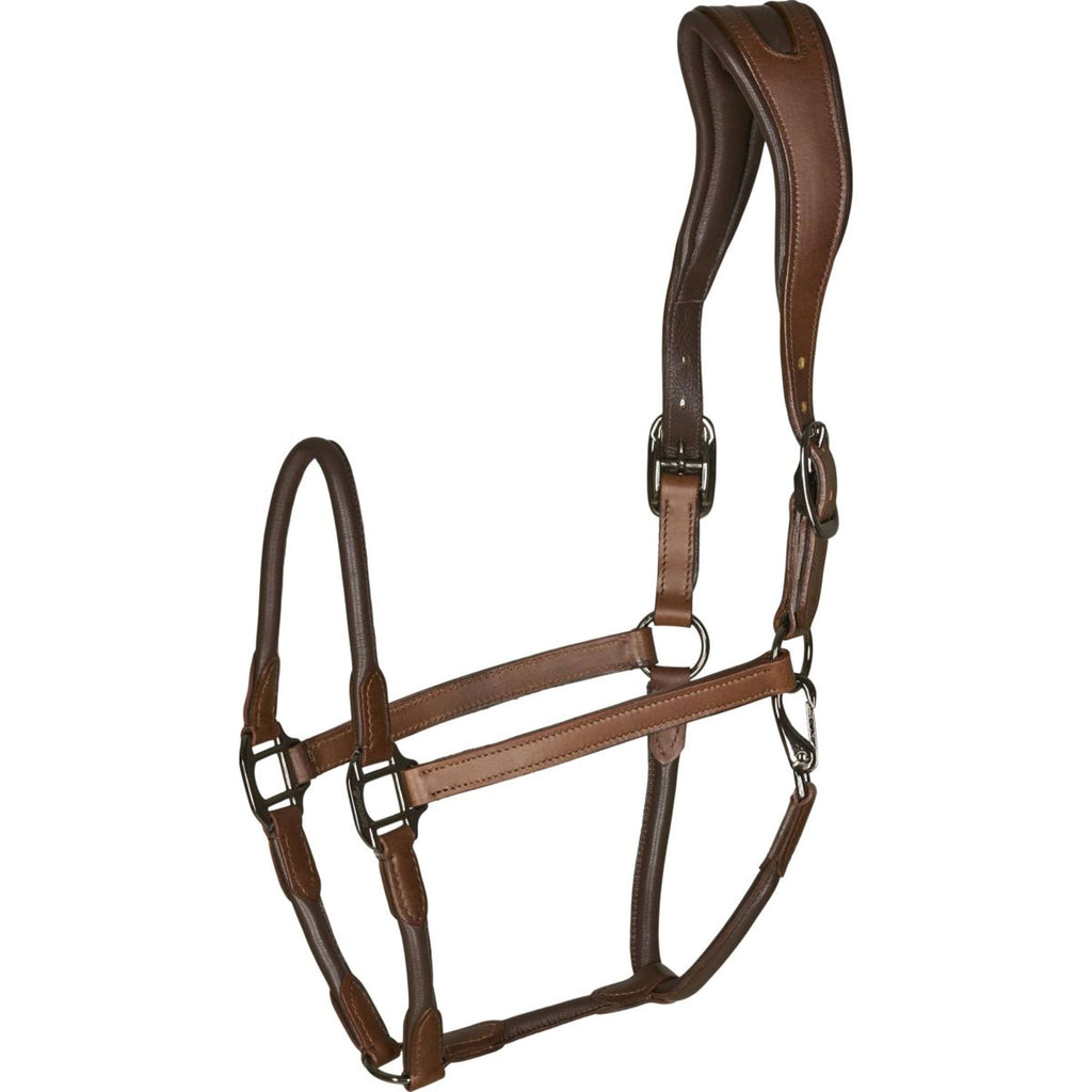 Catago Licol en Cuir Marron