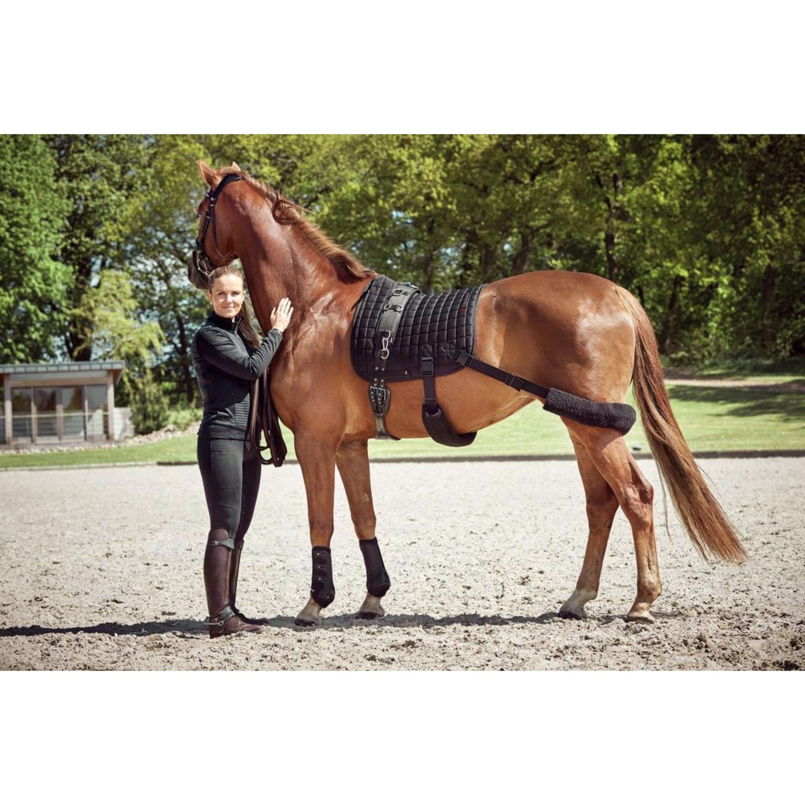 Catago Tapis de Selle FIR-Tech avec Élastique Polyvalent Noir Catago Tapis de Selle FIR-Tech avec Élastique Polyvalent Noir