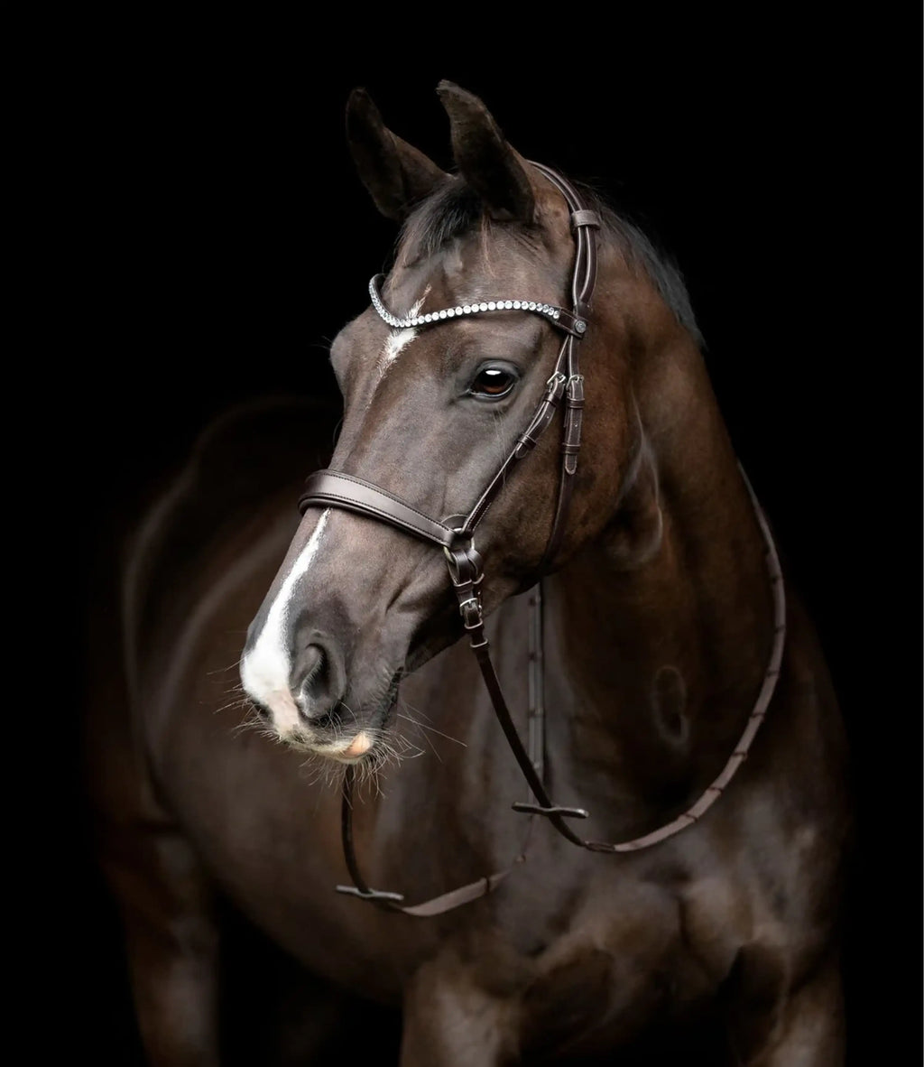 Catago Bridle Gentle Brown Set