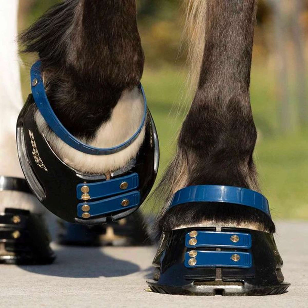 Scoot Boot Pastern Strap Marin