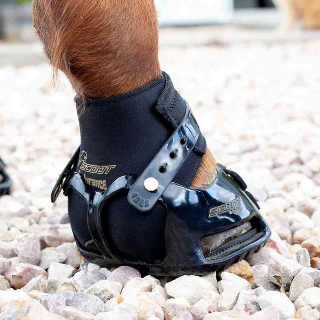 Scoot Boot Endurance Gaiter Noir